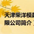 天津柴洋模具有限公司（关于天津柴洋模具有限公司简介）