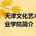 天津文化艺术职业学院（关于天津文化艺术职业学院简介）