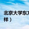 北京大学东方学院怎么样（北京东方大学怎么样）