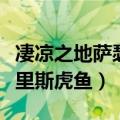凄凉之地萨瑟里斯海岸的萨瑟里斯虎鱼（萨瑟里斯虎鱼）