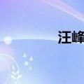 汪峰存在原唱（存在原唱）