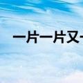 一片一片又一片,飞入梅花都不见是什么诗