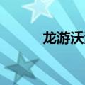 龙游沃海涛（龙游四海 侯龙涛）