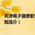 天津电子信息职业技术学院（关于天津电子信息职业技术学院简介）