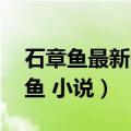 石章鱼最新的小说医道官途（医道官途 石章鱼 小说）
