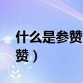 什么是参赞,参赞属部级还是处级（什么是参赞）