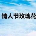 情人节玫瑰花包装样式（情人节玫瑰花包装）