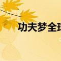 功夫梦全球总票房（功夫梦全球票房）