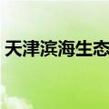天津滨海生态城（关于天津滨海生态城简介）