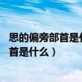 思的偏旁部首是什么,表示思的意思和什么有关（思的偏旁部首是什么）