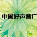 中国好声音广告词大全（中国好声音广告词）