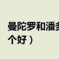 曼陀罗和潘多拉哪个好看（曼陀罗和潘多拉哪个好）