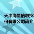 天津海量信息技术股份有限公司（关于天津海量信息技术股份有限公司简介）