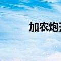 加农炮开炮（加农炮之战第2天）