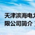 天津滨海电力有限公司（关于天津滨海电力有限公司简介）