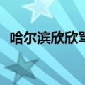 哈尔滨欣欣骂沈阳小伙mp3（哈尔滨欣欣）