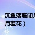 沉鱼落雁闭月羞花中的指的是谁（沉鱼落叶闭月羞花）