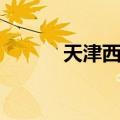 天津西站（关于天津西站简介）