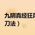 九阴真经狂风刀法用什么内功（九阴真经狂风刀法）