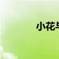 小花与才子（才子说事小花）
