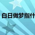 白日做梦指什幺生肖（白日做梦是什么生肖）