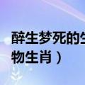 醉生梦死的生肖是什么动物（醉生梦死打一动物生肖）