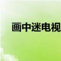 画中迷电视连续剧38免费观看（画中迷）