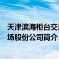 天津滨海柜台交易市场股份公司（关于天津滨海柜台交易市场股份公司简介）