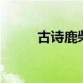 古诗鹿柴王维带拼音（古诗鹿柴）