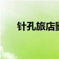 针孔旅店影评（类似针孔旅社的电影）