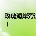 玫瑰海岸旁边有什么好玩的（玫瑰海岸好玩吗）