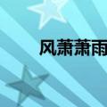 风萧萧雨潇潇的意思（潇潇的意思）
