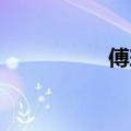 傅瑜 演员（傅瑜是谁）