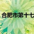 合肥市第十七中学官网（合肥市第十七中学）