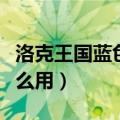 洛克王国蓝色弹珠怎么使用（洛克王国弹珠怎么用）