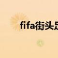 fifa街头足球2015（fifa街头足球2）