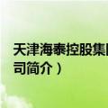 天津海泰控股集团有限公司（关于天津海泰控股集团有限公司简介）