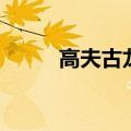 高夫古龙水怎么样（高夫古龙水）