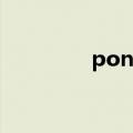pony淘宝（pony旗舰店）