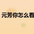 元芳你怎么看是什么歌（元芳你怎么看歌词）