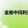 金雅中玛利亚 男声翻唱（金雅中 玛利亚）