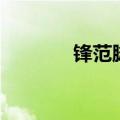 锋范脚垫固定柱（锋范脚垫）
