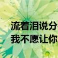 流着泪说分手 我不想让你走（流着泪说分手我不愿让你走）