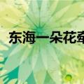 东海一朵花牵藤西山洼花开人出门猜一生肖