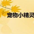 宠物小精灵柳生刚（宠物小精灵之柳阳）
