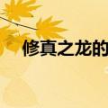 修真之龙的传人小说（修真之龙的传人）