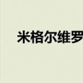 米格尔维罗索什么水平（米格尔维罗索）