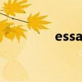 essayists翻译（essayist）
