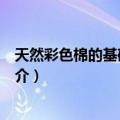 天然彩色棉的基础和应用（关于天然彩色棉的基础和应用简介）