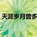 天涯岁月曾多情（关于天涯岁月曾多情简介）